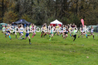 Girls under-13s, 2019 European Cross Country Trials and British Cross Challenge, Sefton Park, Liverpool.  Photo: David T. Hewitson/Sports for All Pics